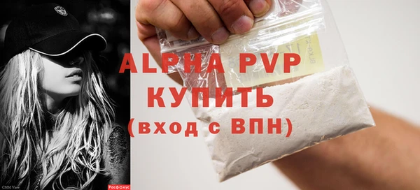 шишки Беломорск