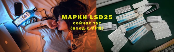 индика Белокуриха