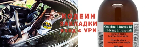 индика Белокуриха
