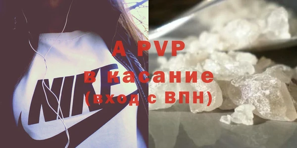 индика Белокуриха