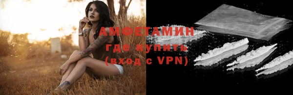 шишки Беломорск