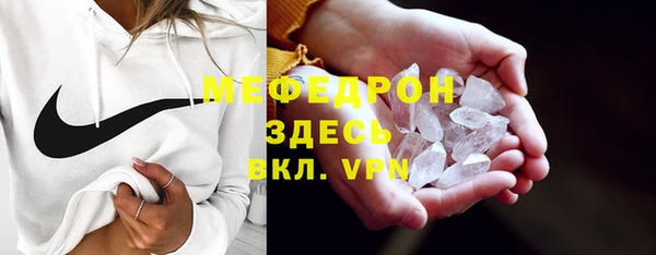 индика Белокуриха