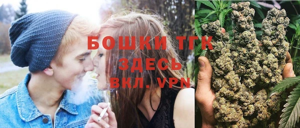 индика Белокуриха