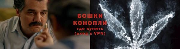 шишки Беломорск