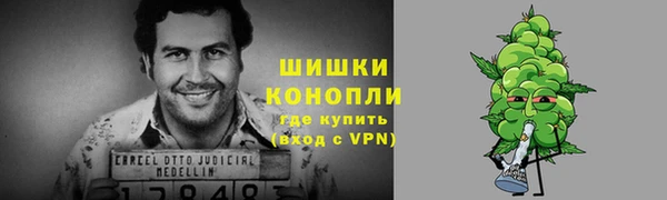 индика Белокуриха