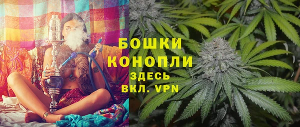 шишки Беломорск