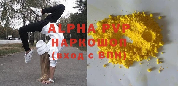 индика Белокуриха