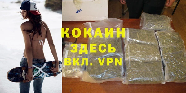 шишки Беломорск