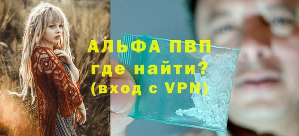 шишки Беломорск