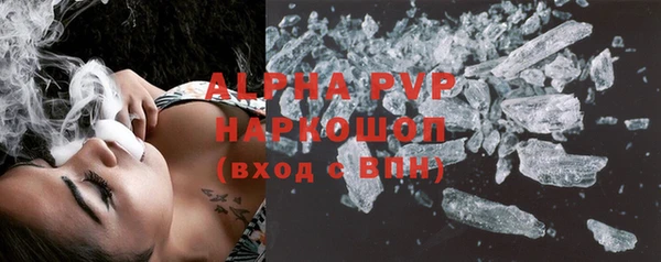 шишки Беломорск