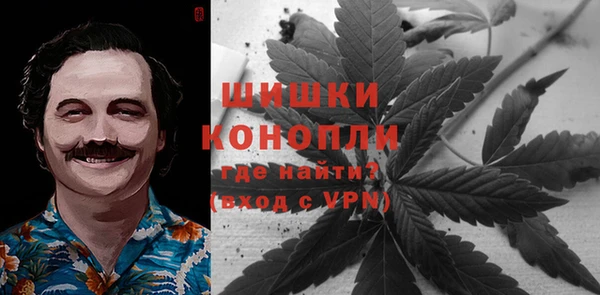 шишки Беломорск