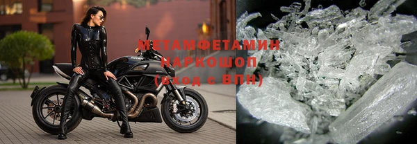 индика Белокуриха