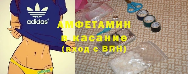 шишки Беломорск