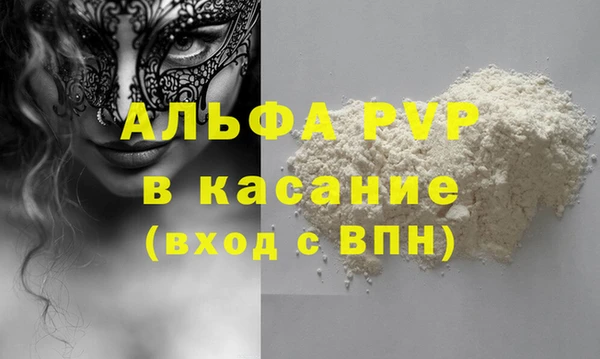 индика Белокуриха